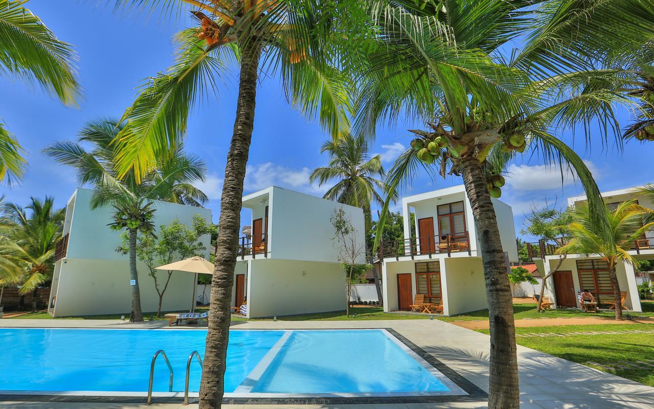Arugambay Roccos Hotel Arugam Bay Buitenkant foto