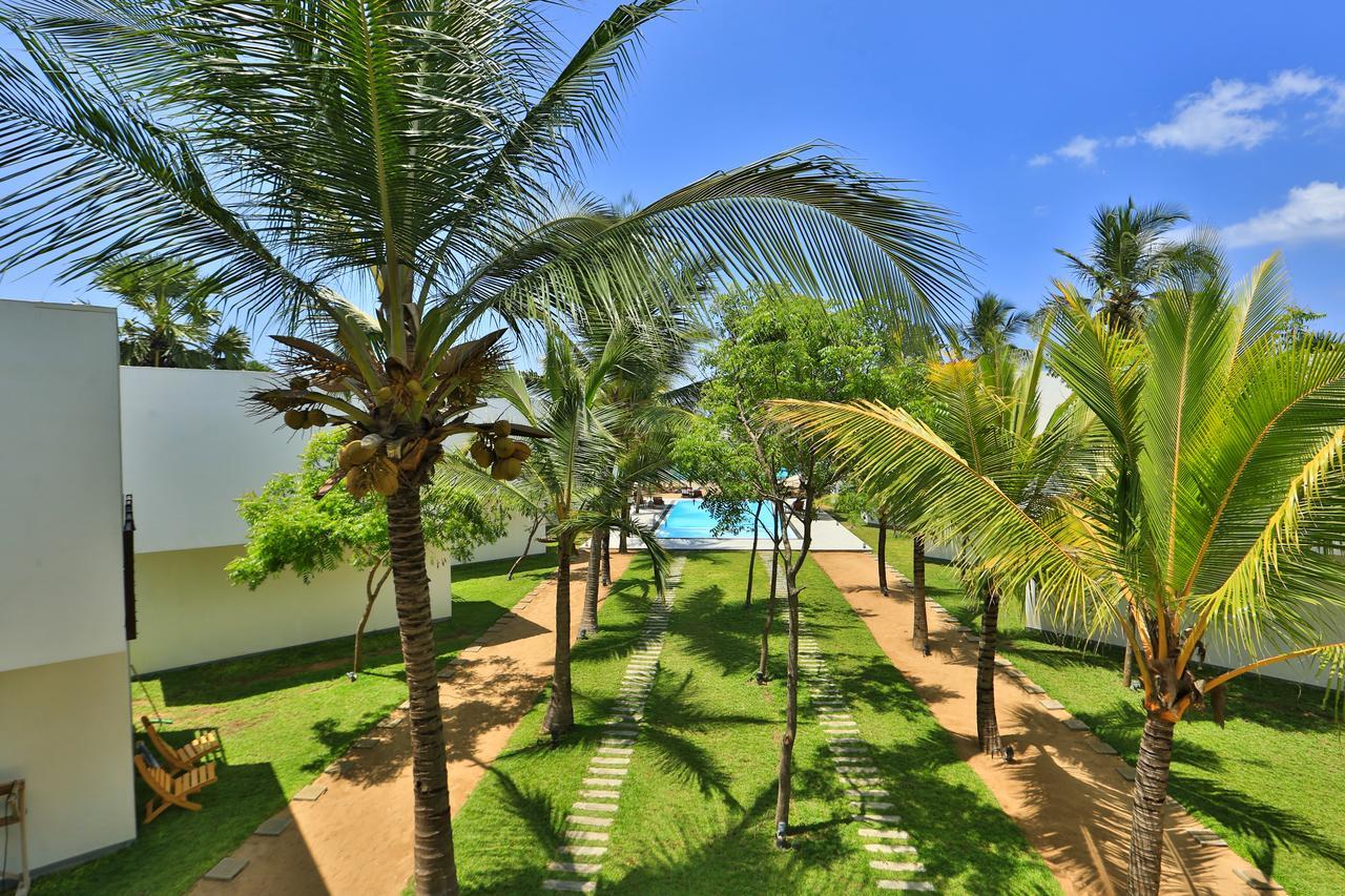 Arugambay Roccos Hotel Arugam Bay Buitenkant foto